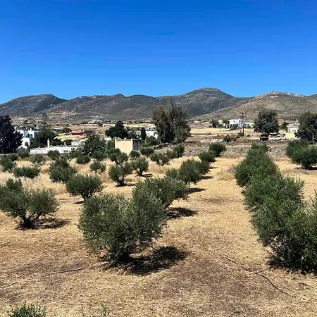 Holiday home Olive House Marpissa